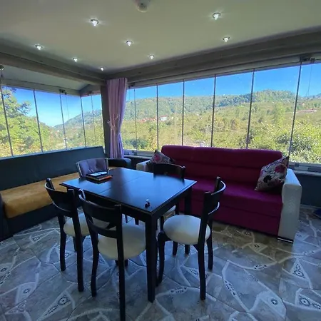 Cosy Park Apartment